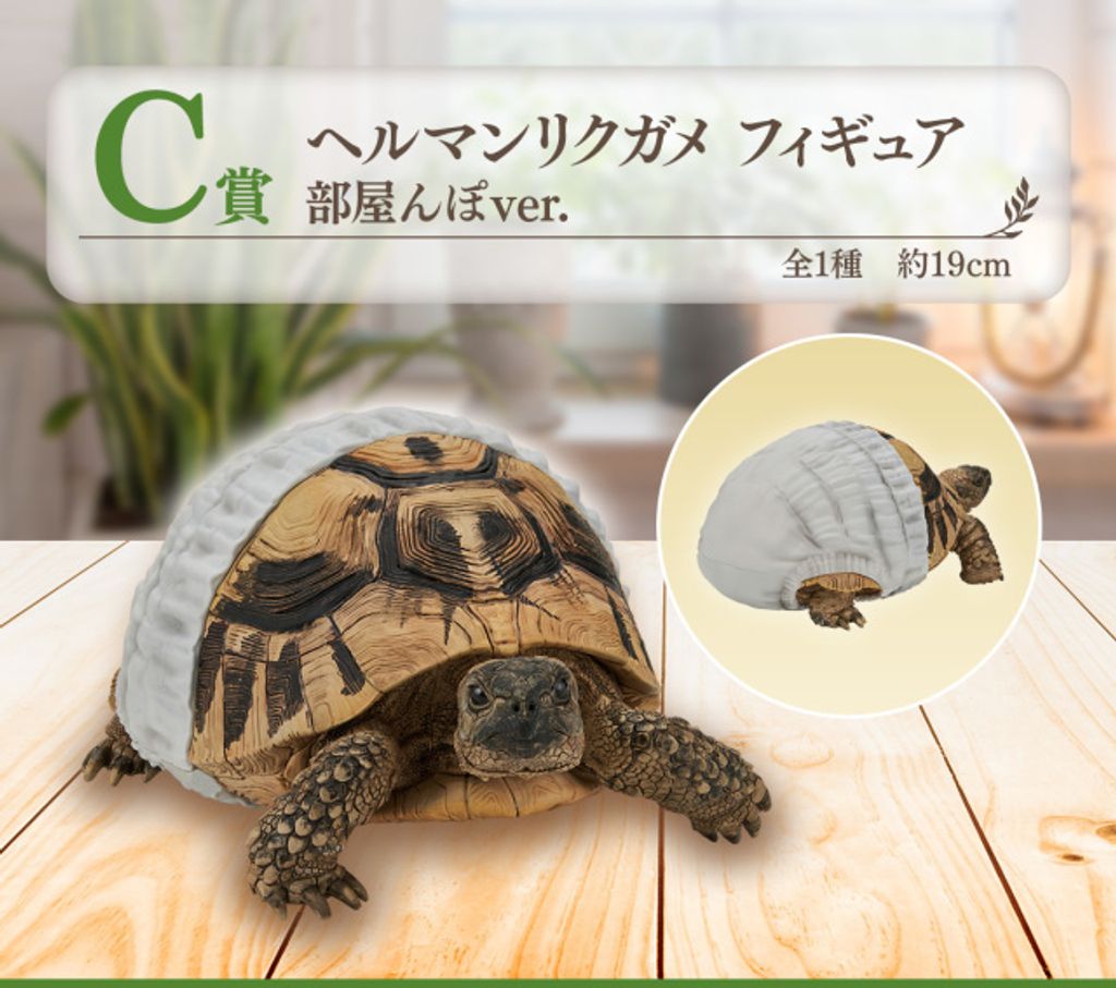 海棲哺乳類大全 海洋哺乳動物- 維基百科，自由的百科全書