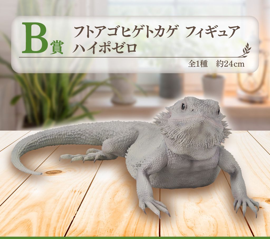 image_8683ECD0-287C-4C04-9D40-0F6C26DC9C1D_1753800962