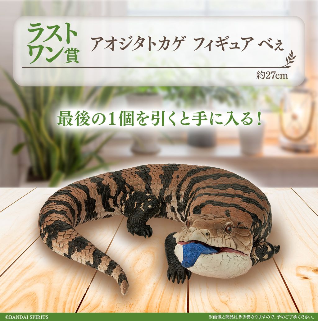 image_F58A41C9-FB0D-477F-A31A-D7321D14B855_1753800962