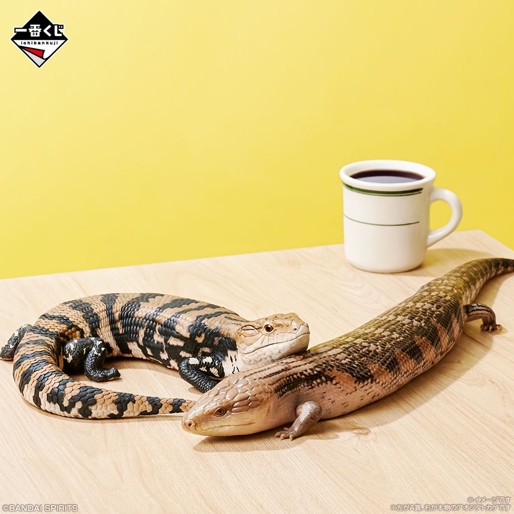 image_8FB37281-7BAD-464D-AC97-F2ED3ED4BEE8_1753800962