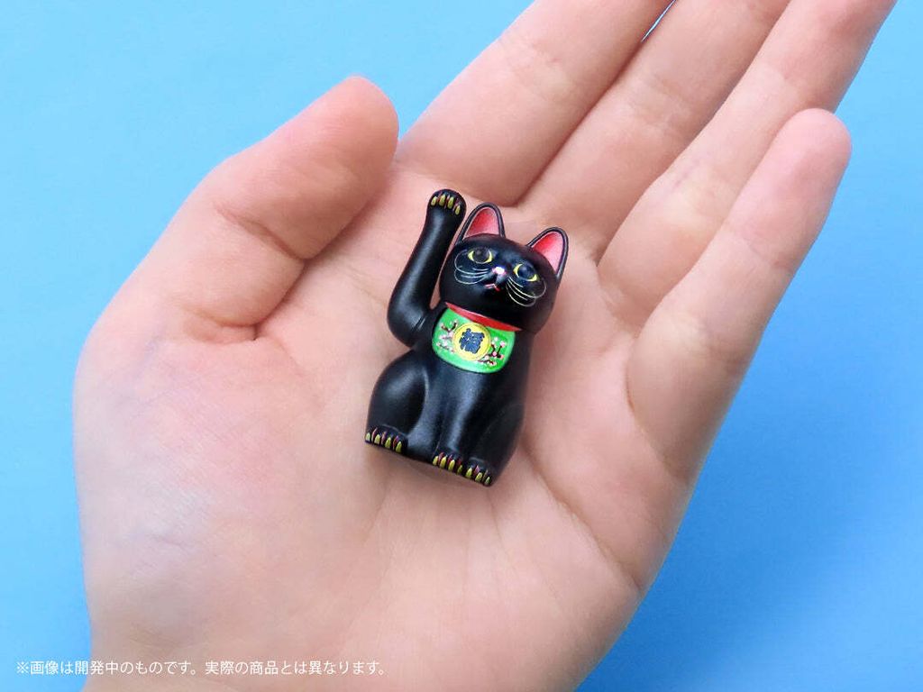 image_A17AC121-8801-4F84-8A74-9649C8064C12_1754318276