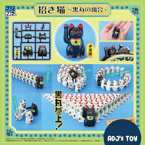 image_E5955279-99D1-49A2-A3BB-64D178E720B0_1754318276