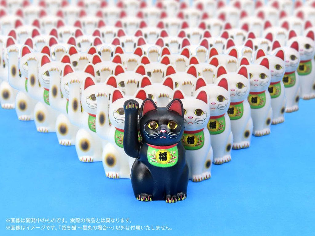 image_9D48A6EB-5F19-4B74-B717-16E965548E5F_1754318276