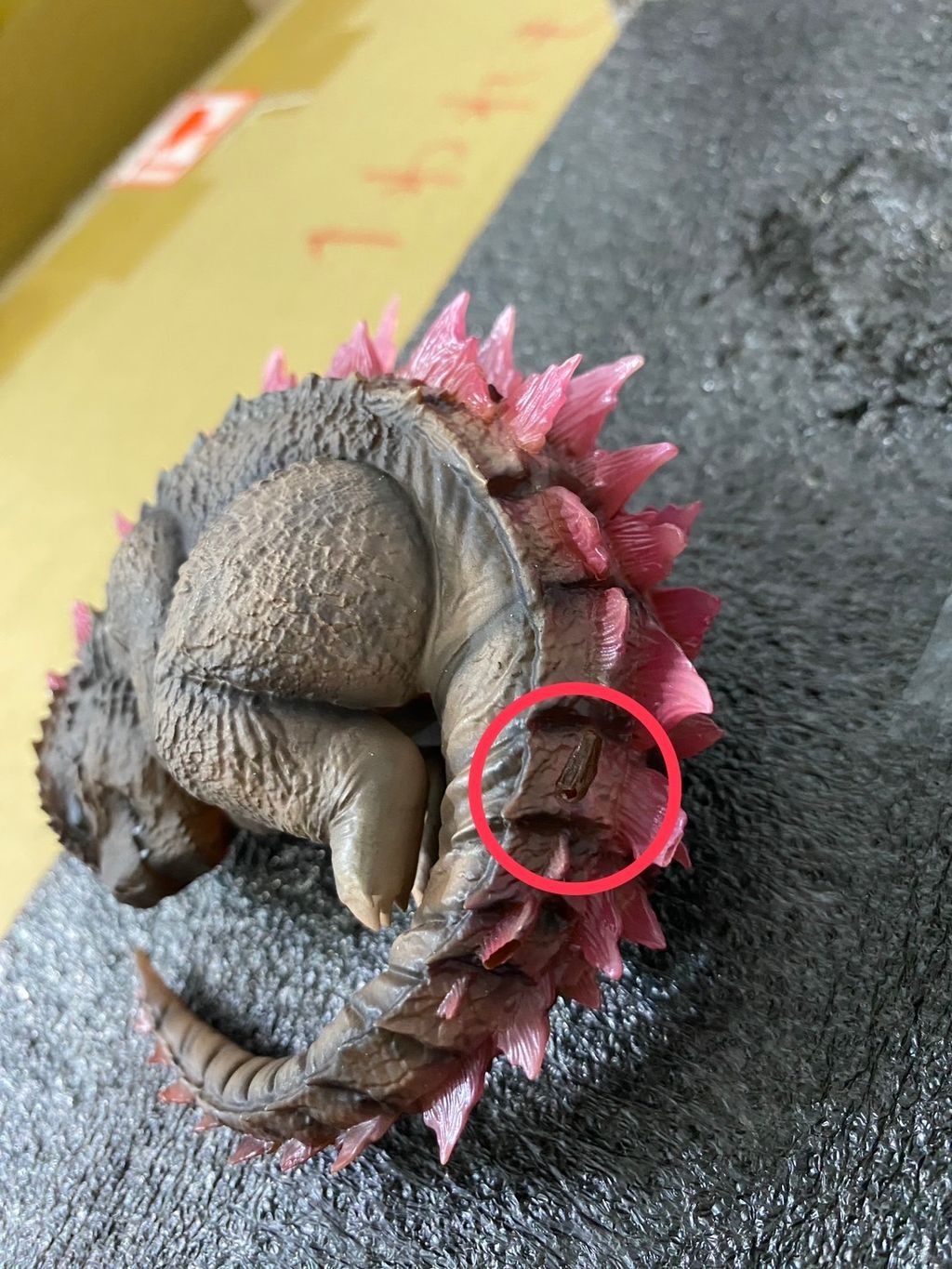 image_D35586D1-2F50-4F46-BE59-46AFCE8E8070_1756703046