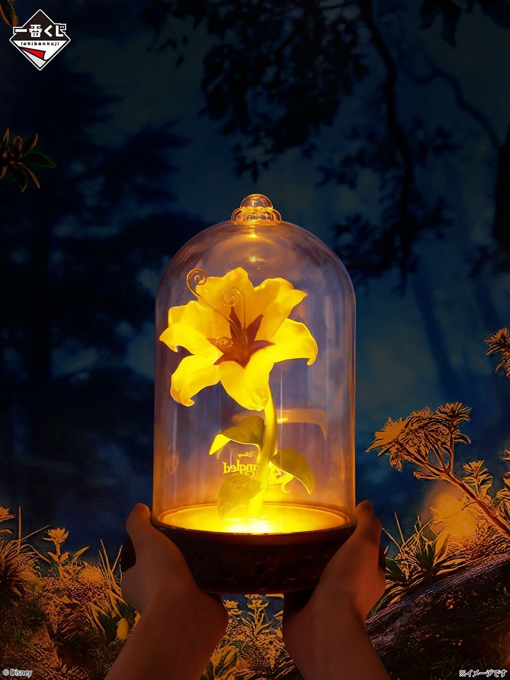 image_DAA3DF5C-E5BC-4F02-89A1-277A385BF077_1757945246