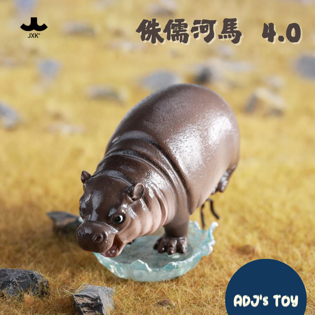 image_2D139ABA-D15C-43F4-AAEF-8F5F7E41BCDF_1758709302