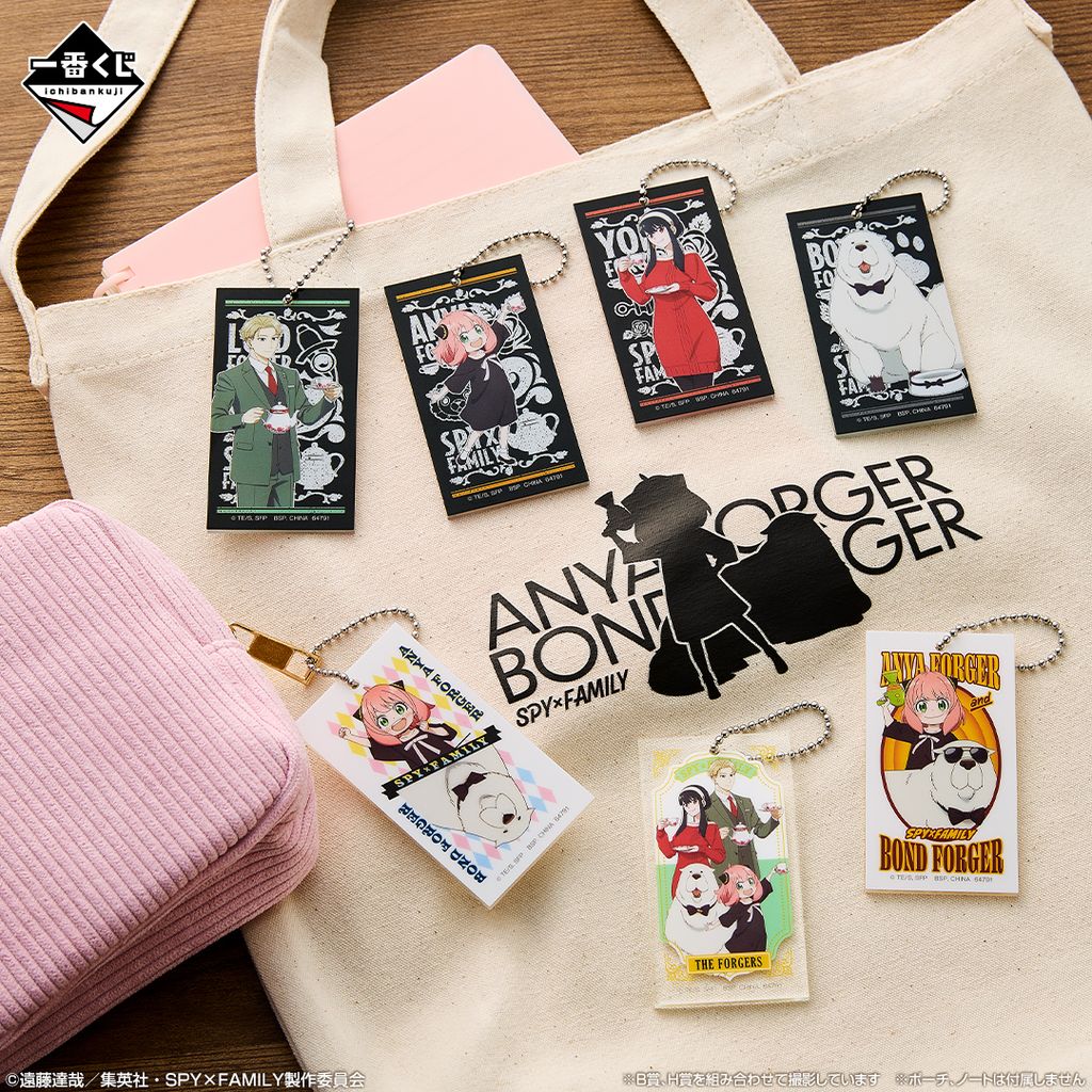 image_9DF46307-7577-43D6-96CD-499BBD6C77DB_1763569263