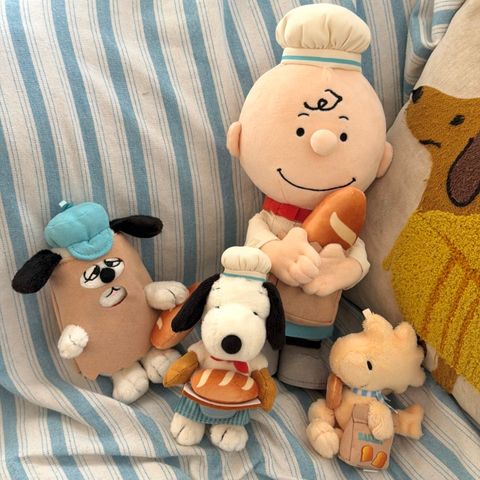 image_565B7D6E-FBD8-4F42-BD81-2121CEFAAE98_1765368102