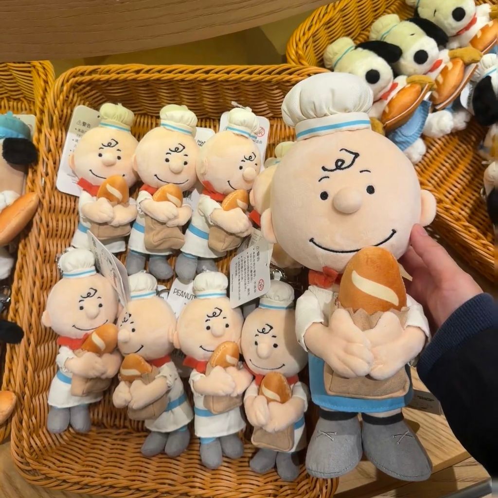 image_810DACB0-E799-498C-B1C8-6129CBA5408E_1765368122