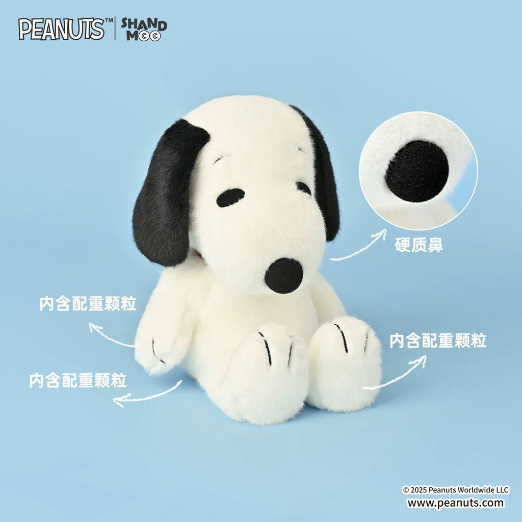 image_D1525D36-9D0B-464F-925B-AE57D7F96F2C_1765368547