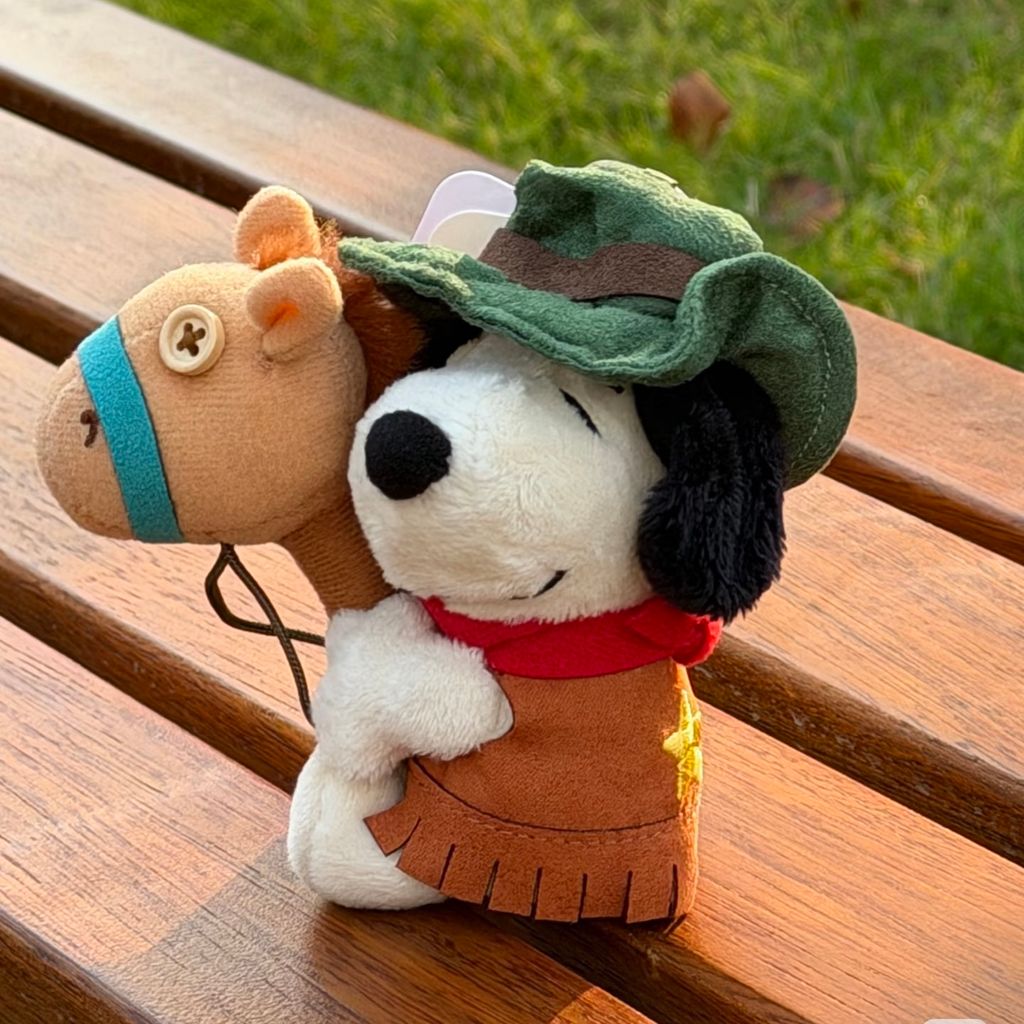 image_D499A7EB-F168-4C3F-B061-5C33AD76C325_1765376182