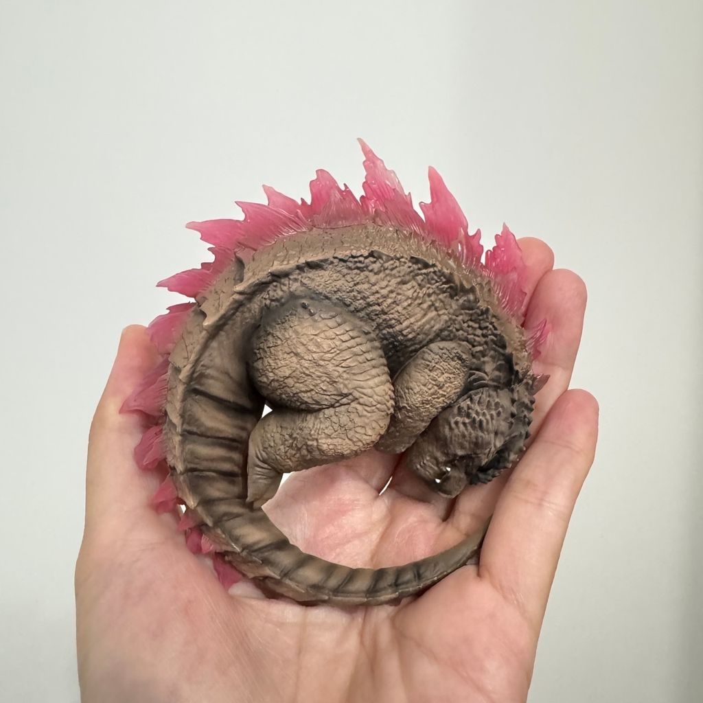 image_C9EFE841-0A78-4612-9978-B10A235671F5_1765439515