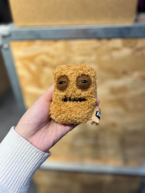 image_946059E6-3D69-4FCD-93D4-51A0F65A43FE_1767893562