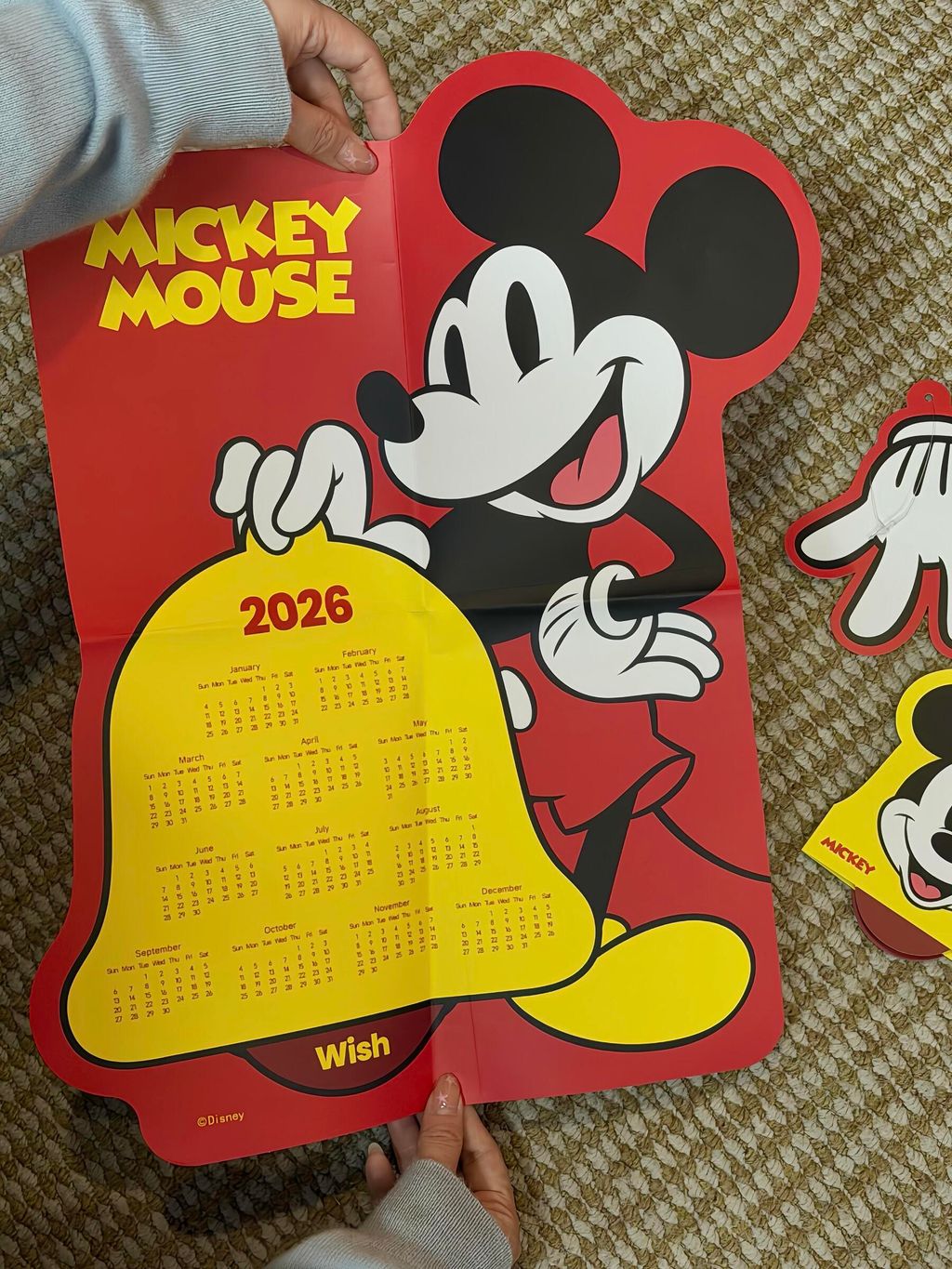 image_0B3974CB-2738-409B-833F-3B8FA525D5B2_1768239905