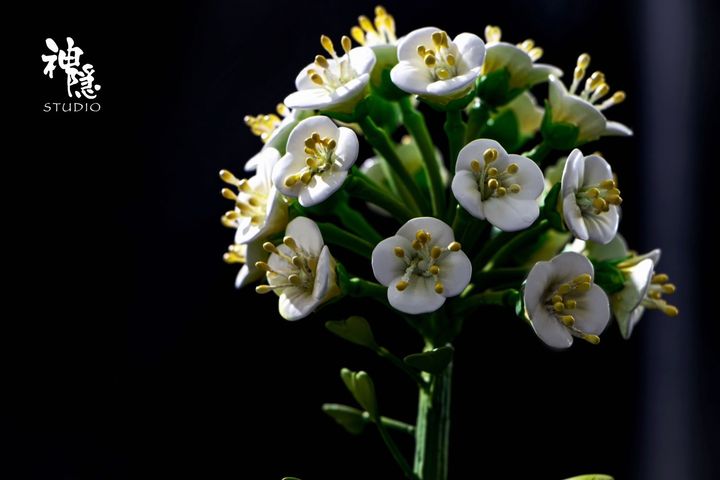 image_F51CC118-BE9A-4EC8-B84B-81CB860C1768_1769526824