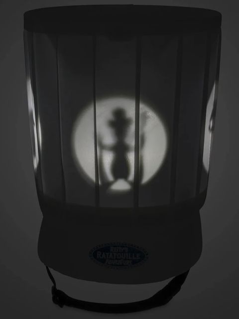 image_A4D0A7AF-18B5-402E-9514-CD2F25233412_1770741043