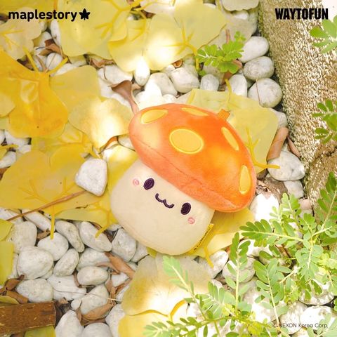 image_645D6631-C9A7-4E91-ADF6-039406023480_1770906905