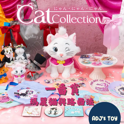 image_9938B252-9871-43AD-9489-05B4A11710F4_1771922234