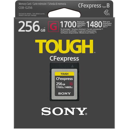 SONY256CFEX2