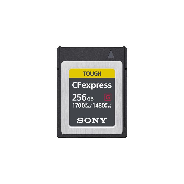 SONY256CFEX1