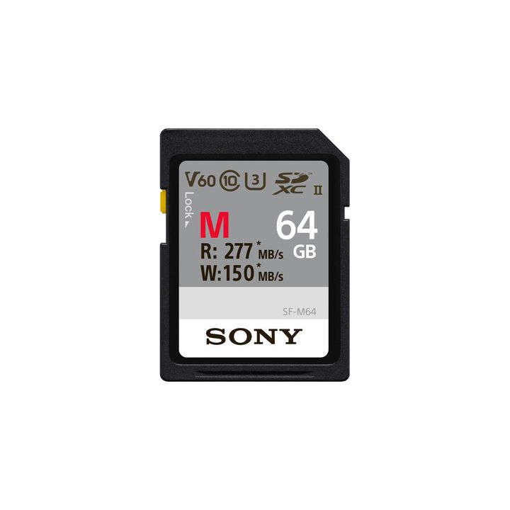 SONYMSERI64GB1