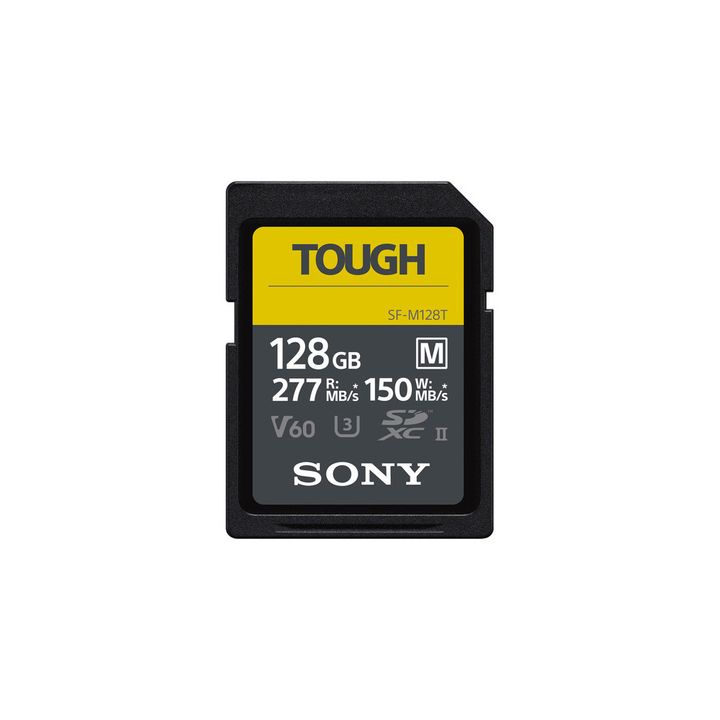 SFM128T1