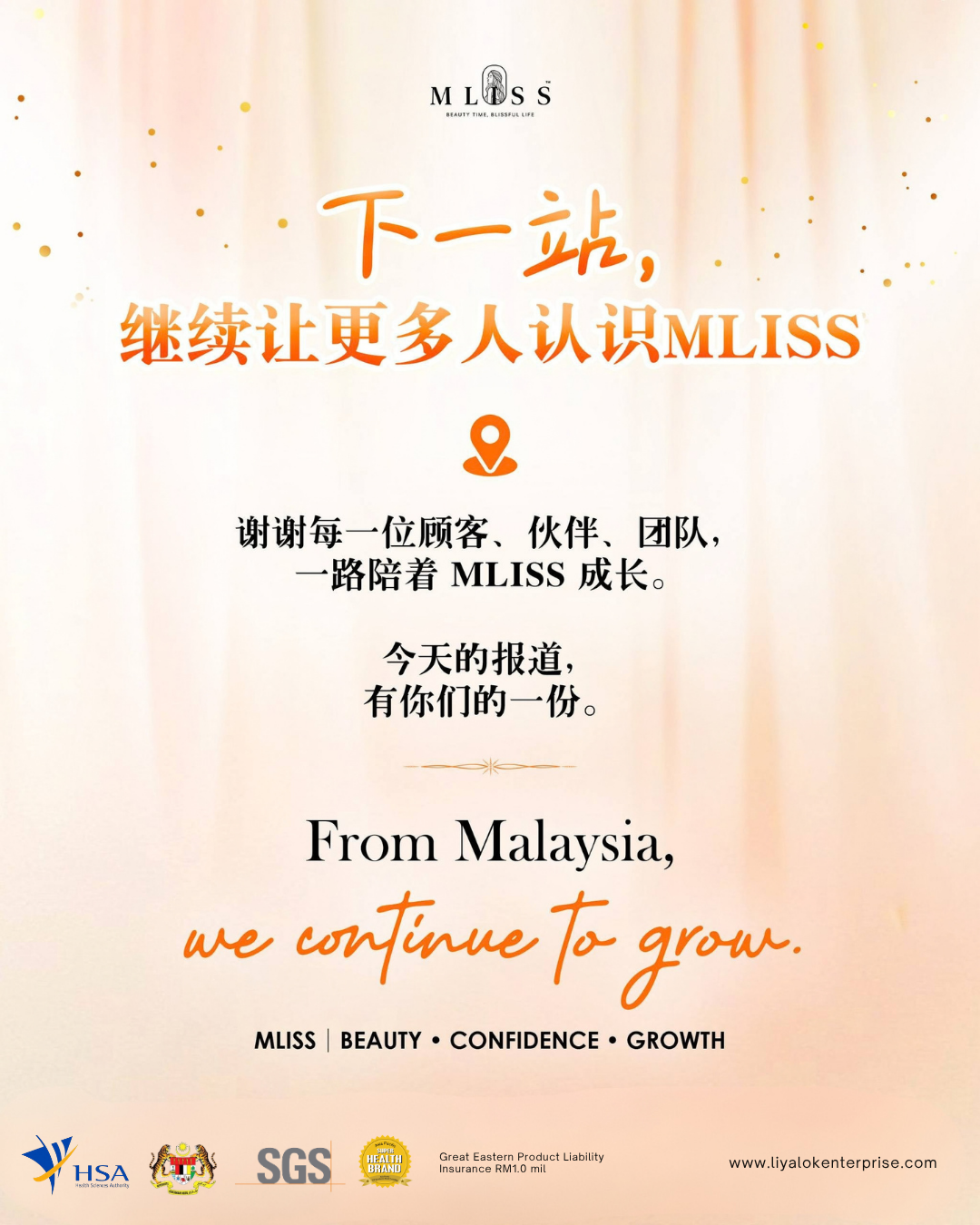 MLISS 致谢与未来展望