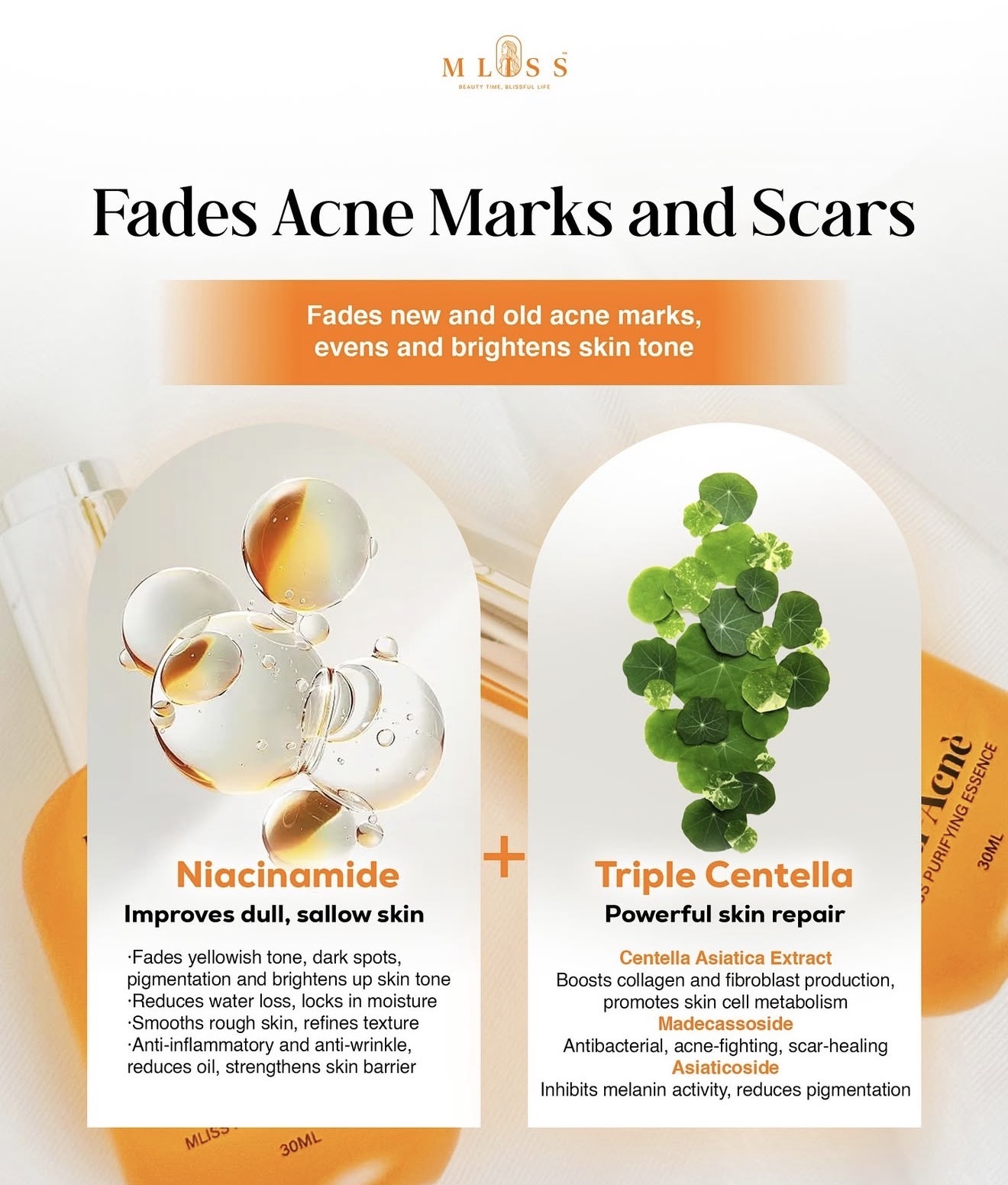 image_36B395FD-7412-4E13-AED2-B9FE21478F78_1774694245