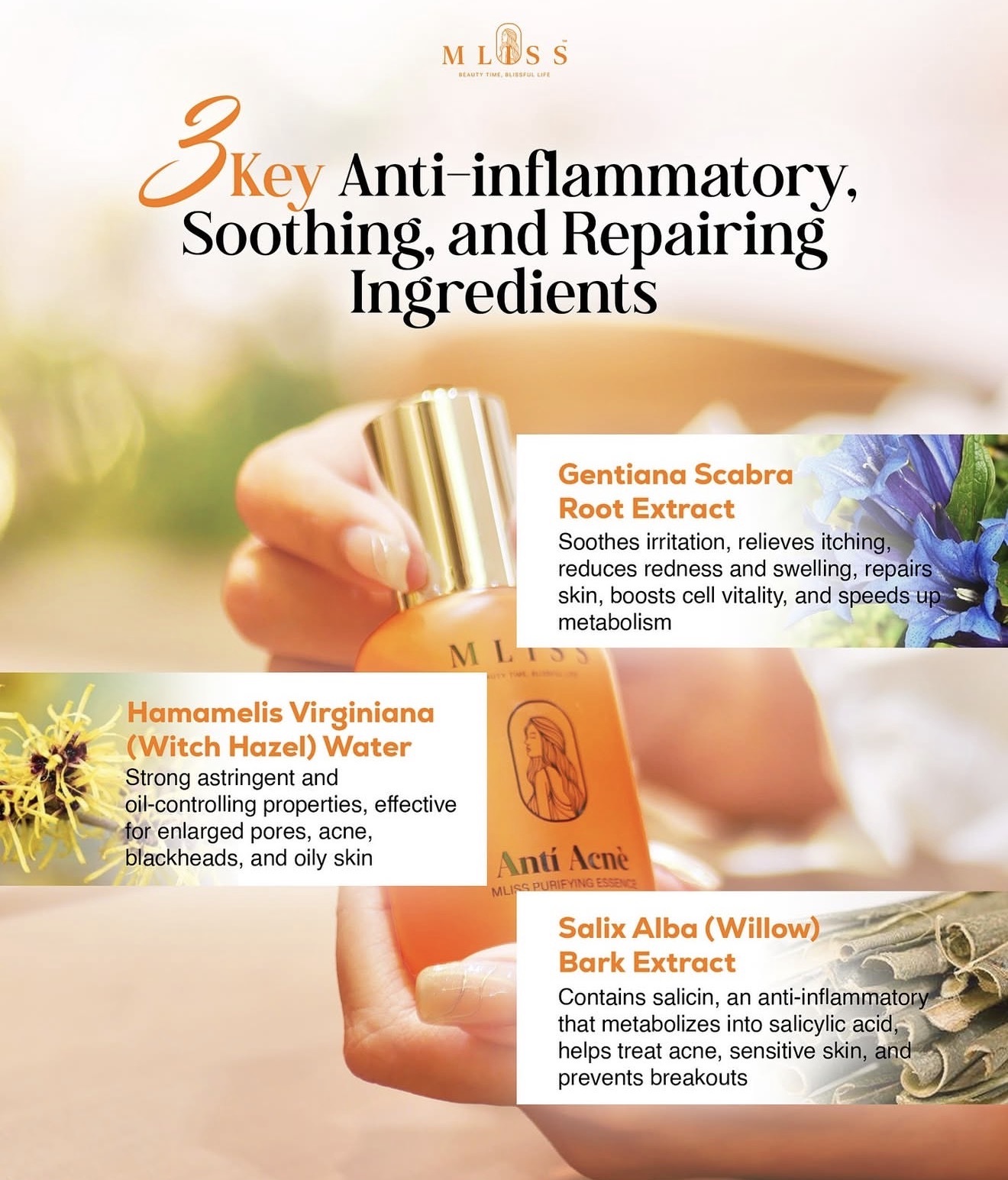 image_18BD3155-90BE-4069-BEA8-A2A49A4FFFAE_1774694271