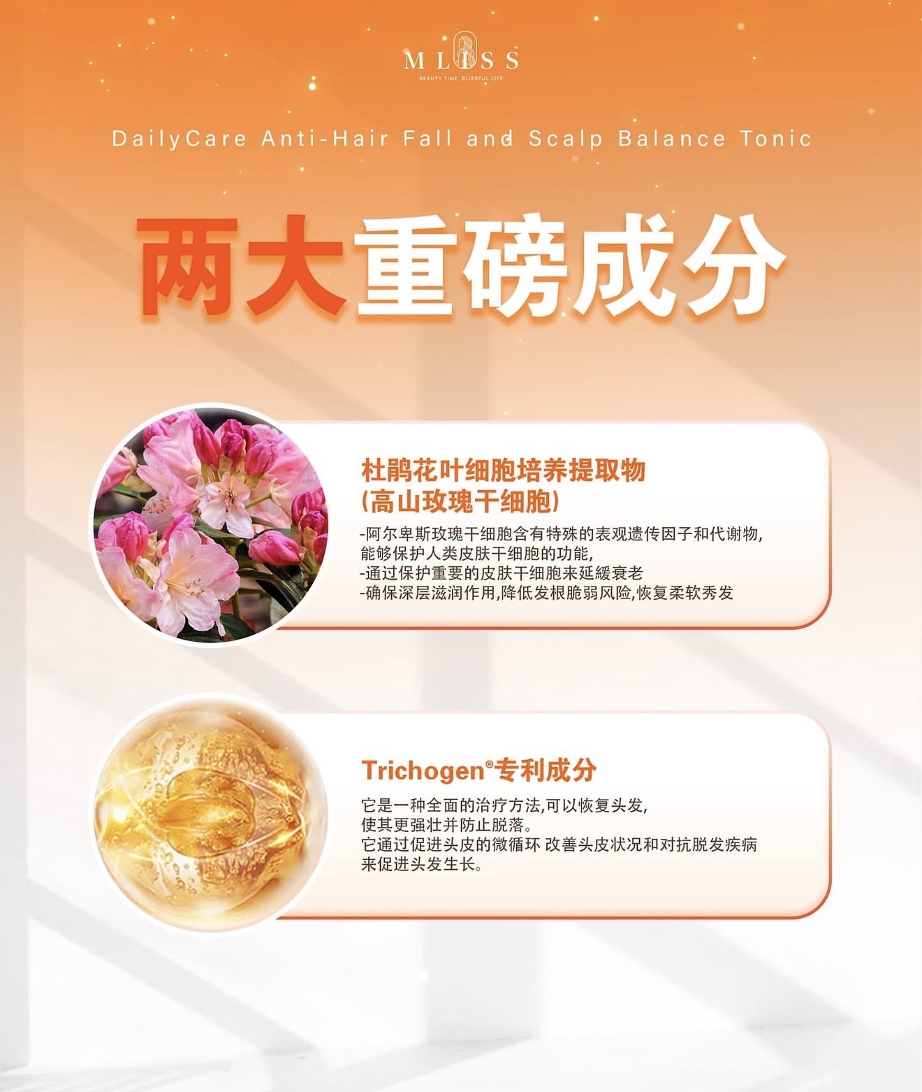 image_667CCC9C-80C5-4A6C-82B7-4711D4C890E2_1774696709