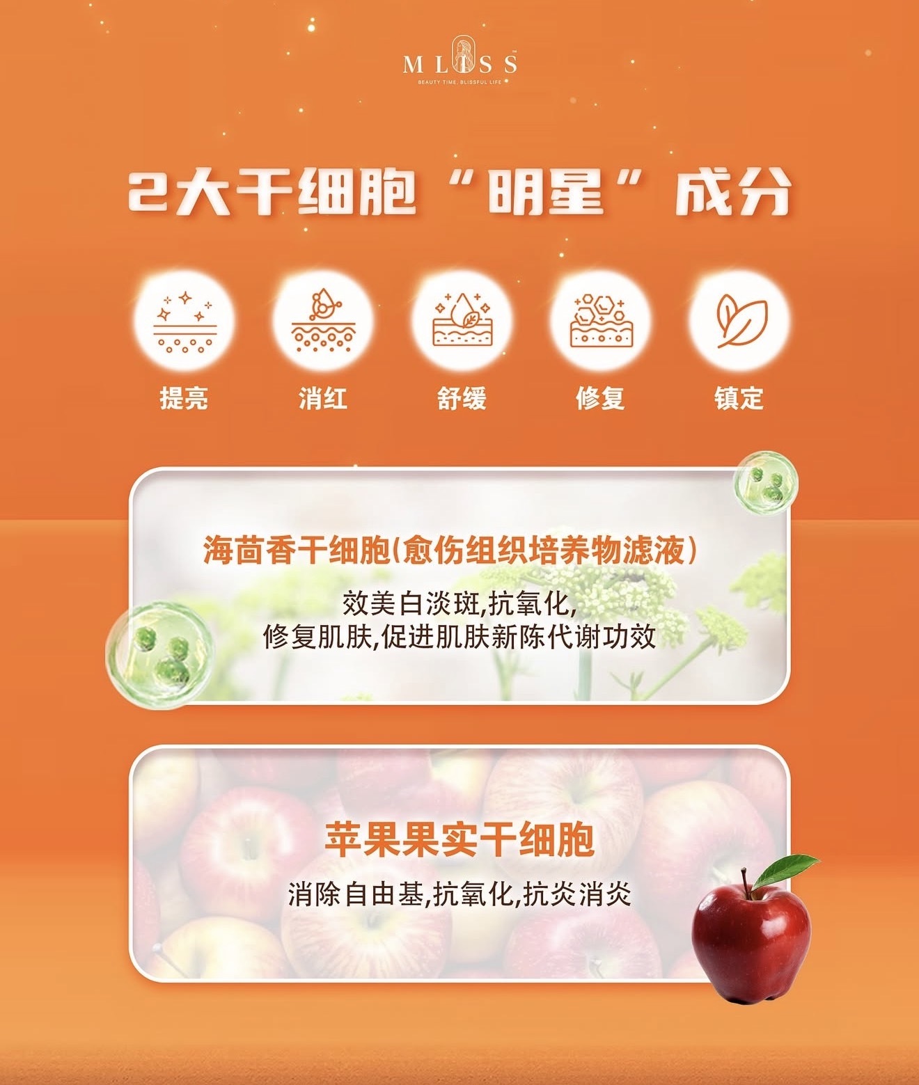 image_396A685E-8FF6-4F13-BD95-1F3ED0C76D35_1774696796