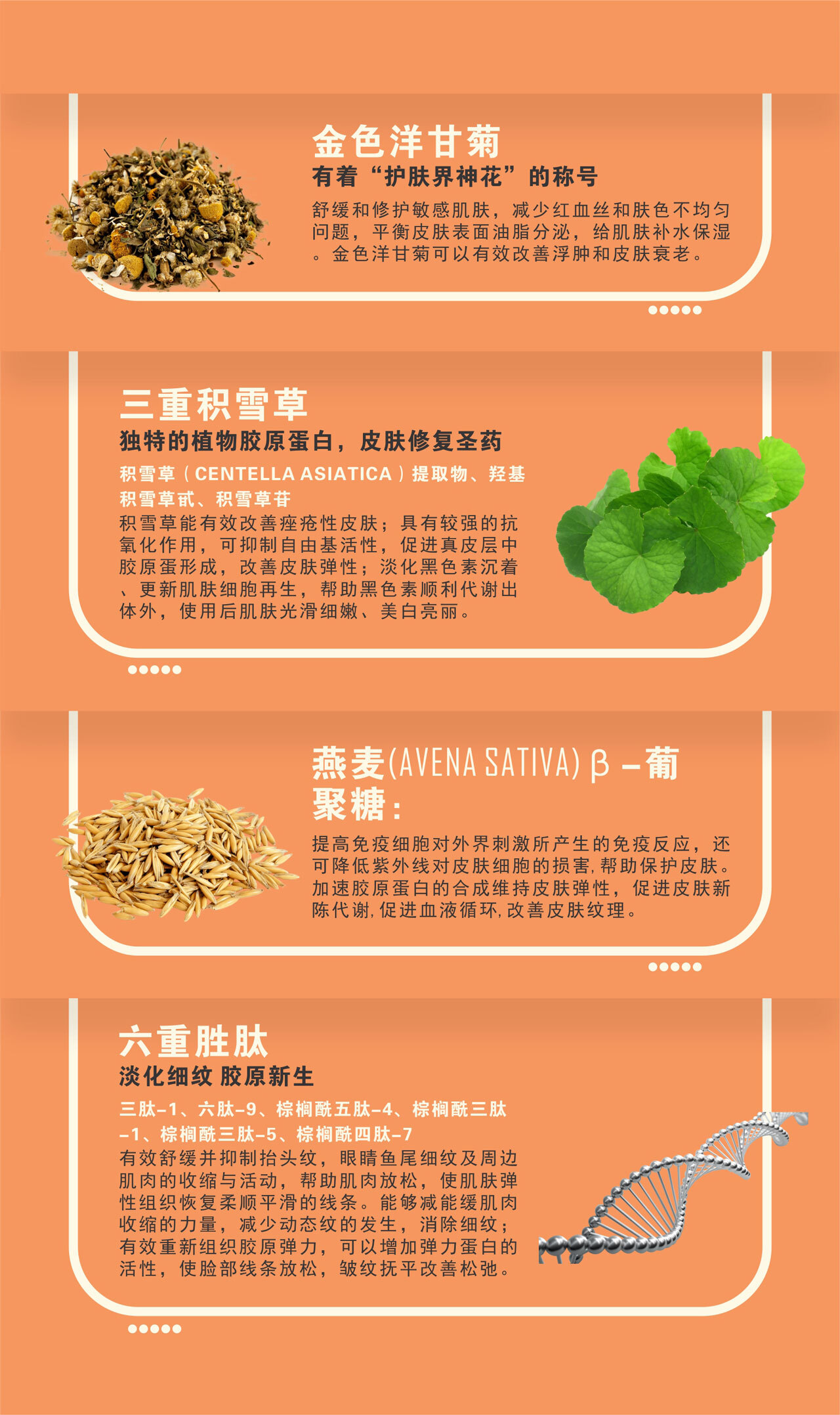 image_88653FA5-63AC-4B47-B3F0-E431CEC2EAE6_1775392943