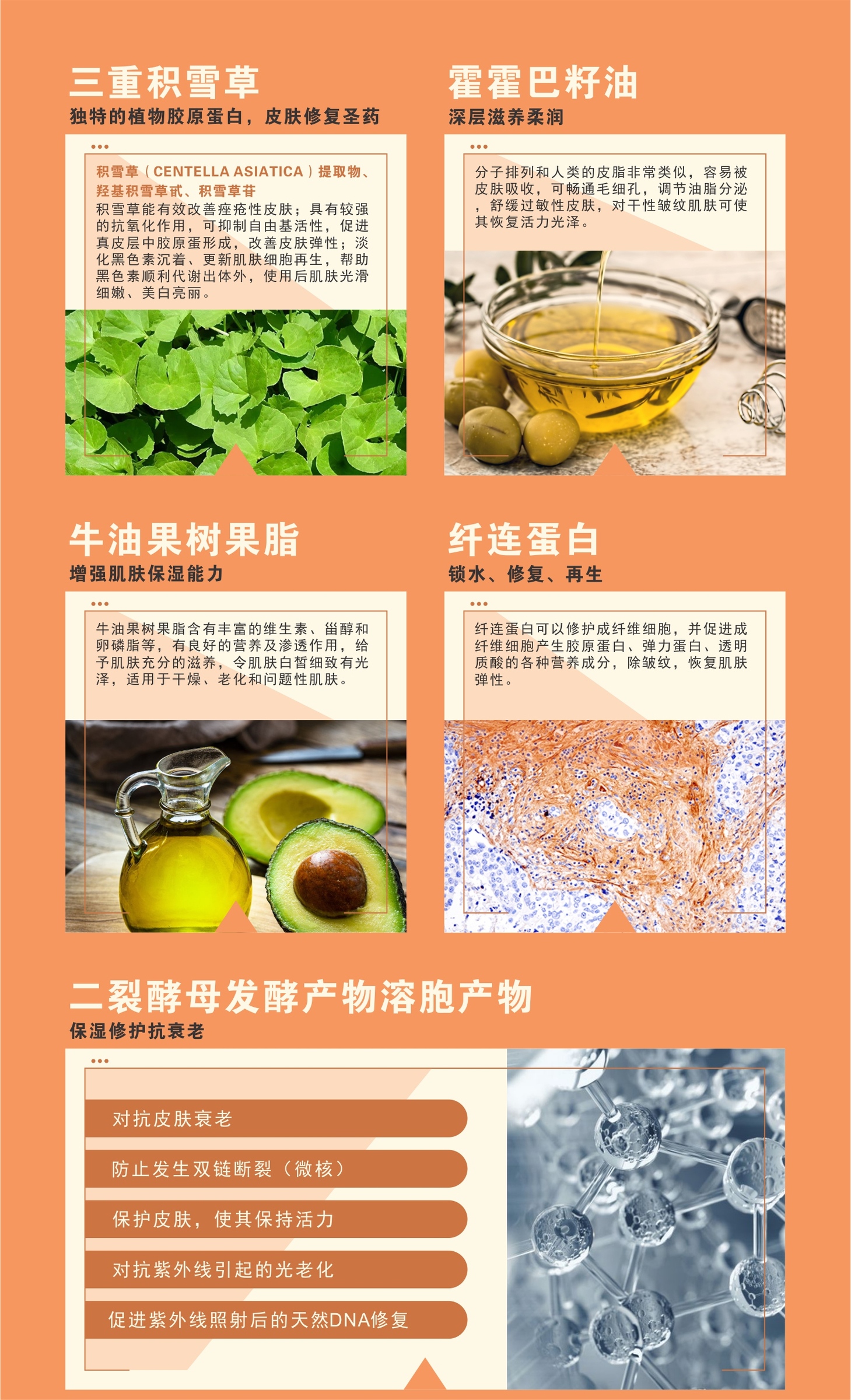 image_1C05A47B-BCD6-4F3E-9B65-055685C8DA91_1775393970