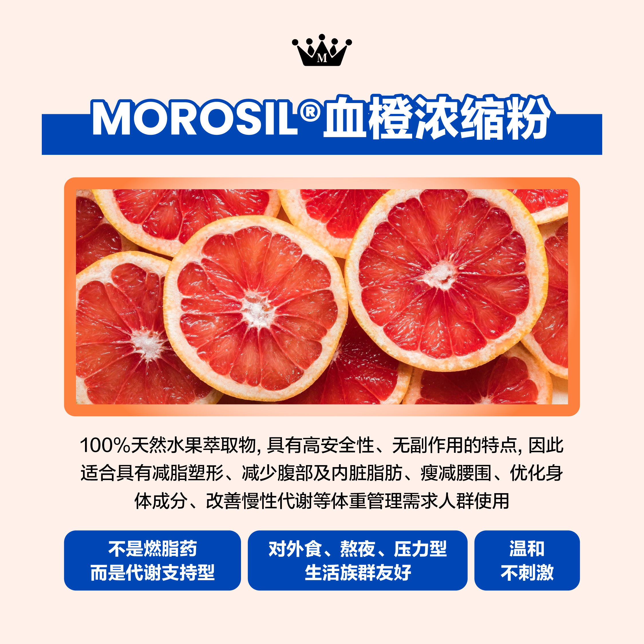 MOROSIL 意大利血橙浓缩粉 - 促进脂肪代谢