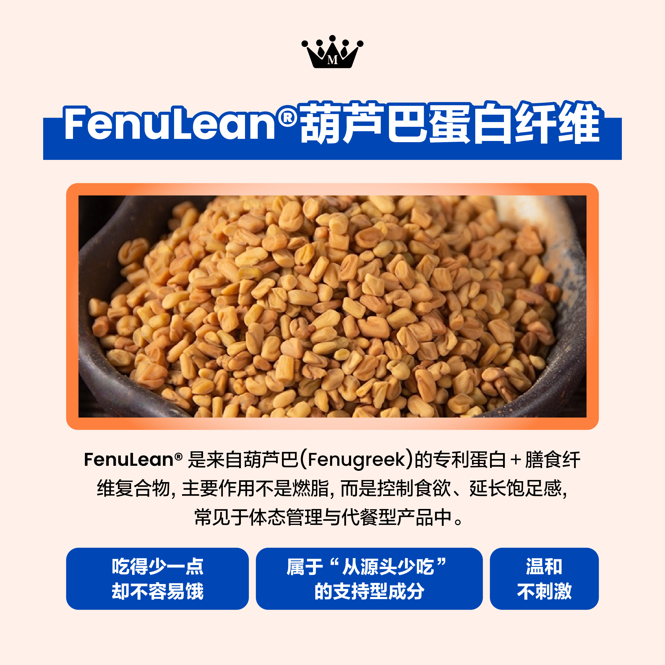 FenuLean 专利葫芦巴蛋白 - 延缓胃排空与增加饱腹