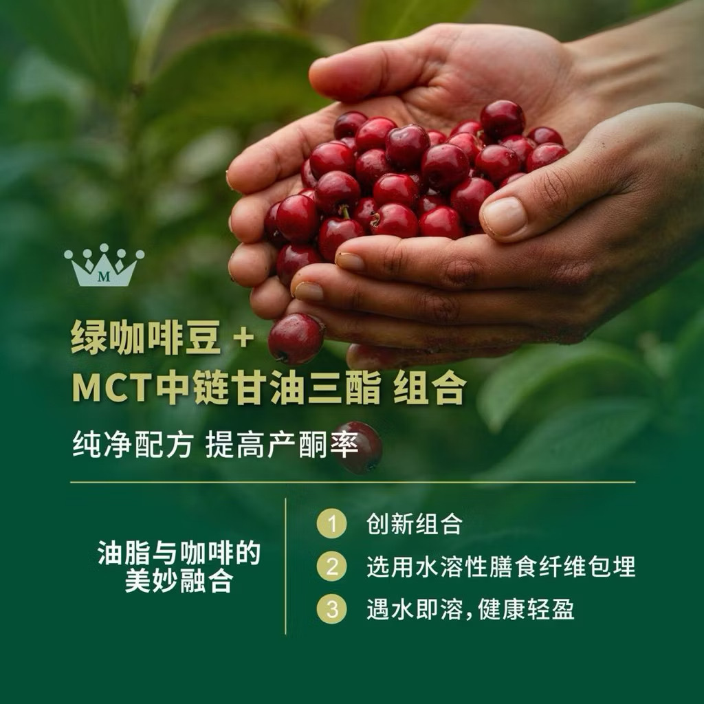 綠咖啡與 MCT 黃金組合