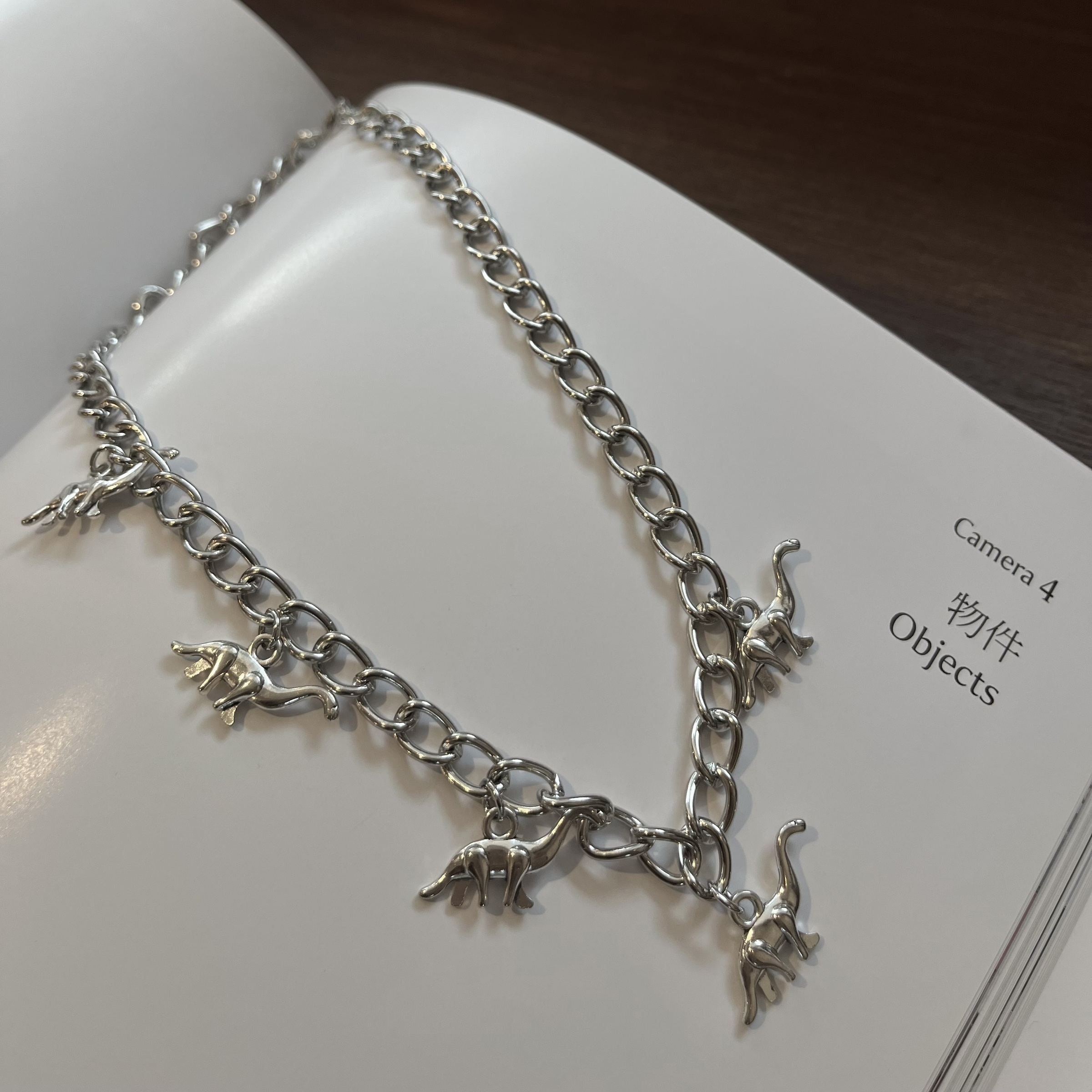 IMG_8748-1721657350316