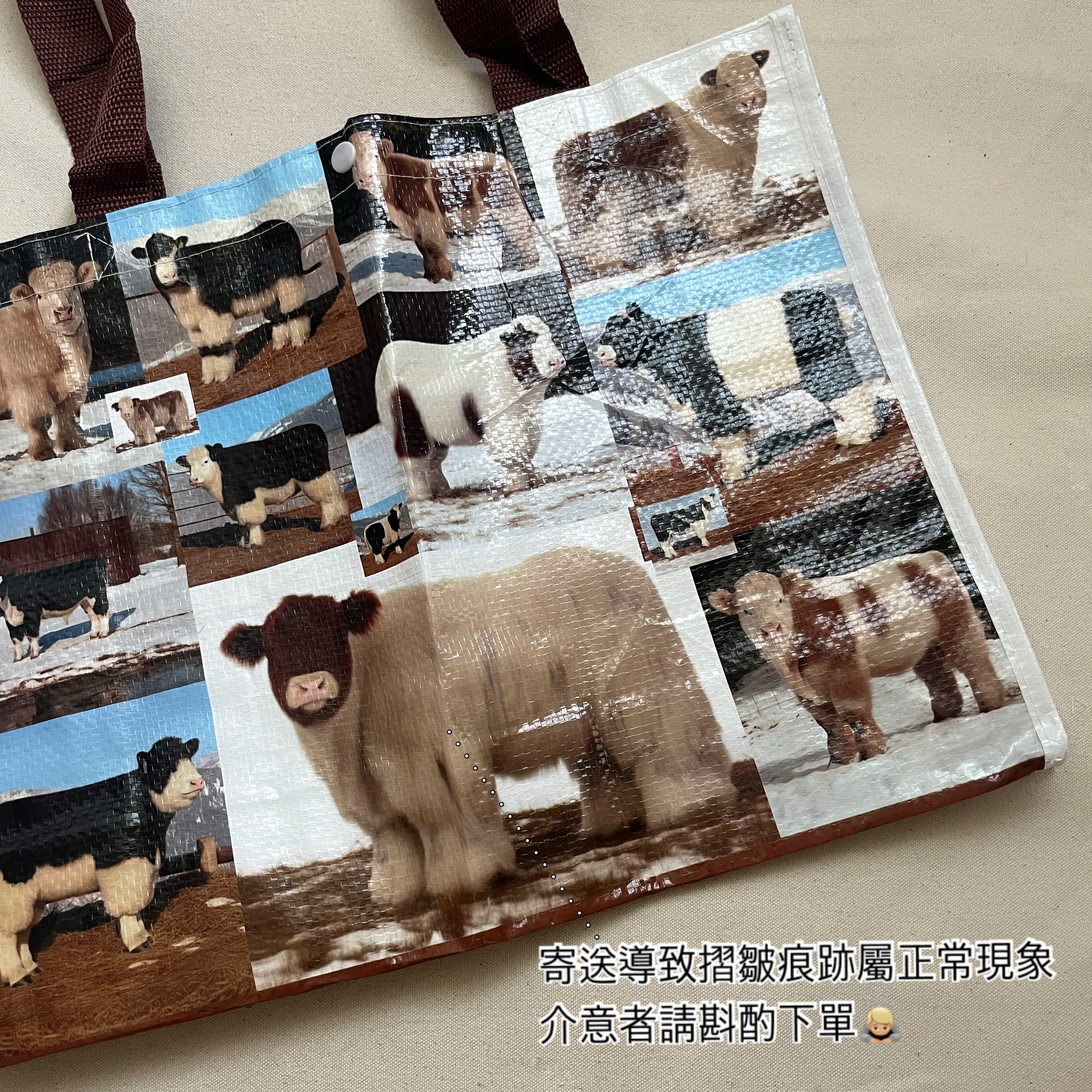 IMG_8222-1728997487479