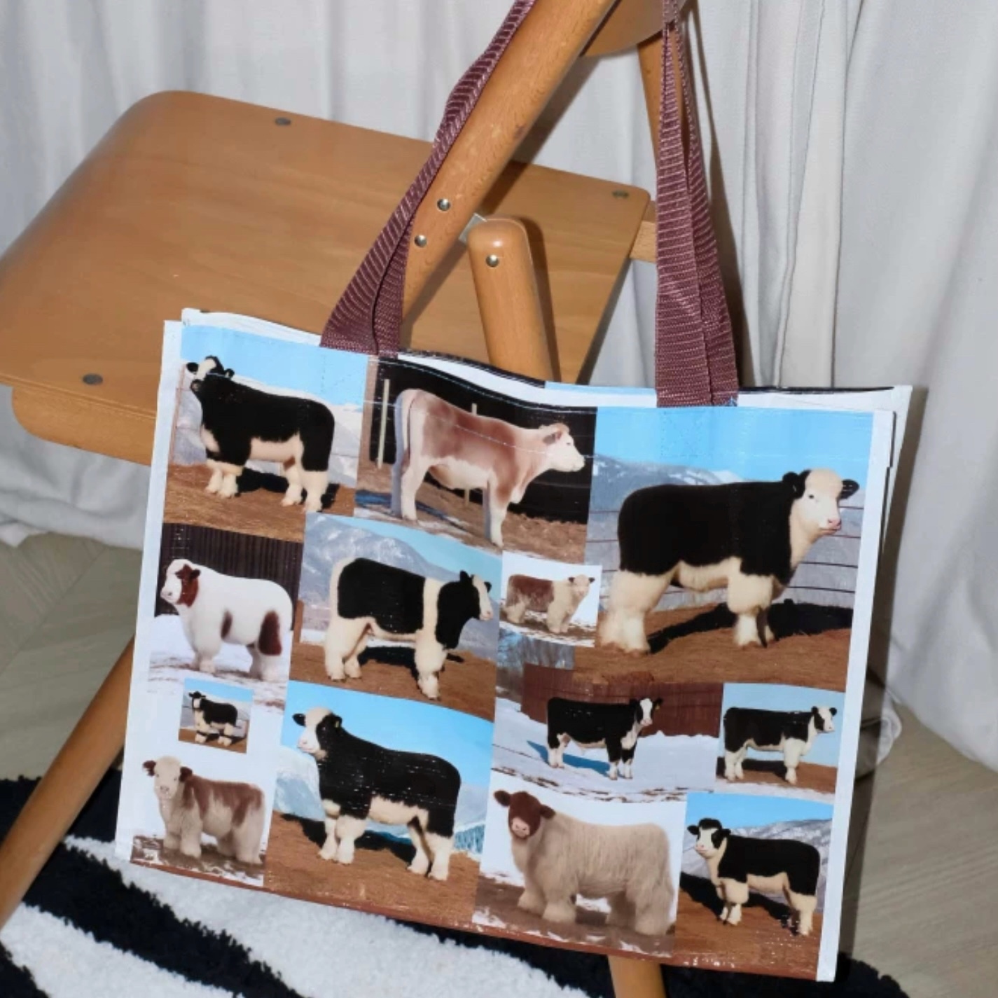 IMG_8224-1728997724587