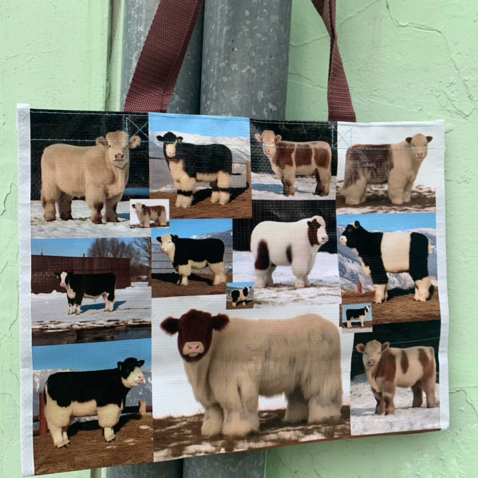 IMG_8225-1728997724591