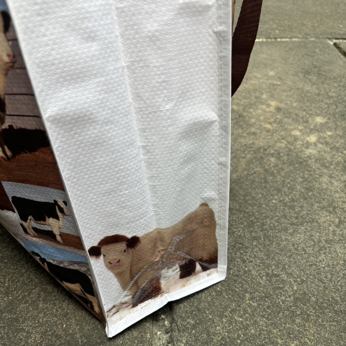 33635AE0-5DAF-45A1-94F2-D3714D8A2DDF-1728997845800