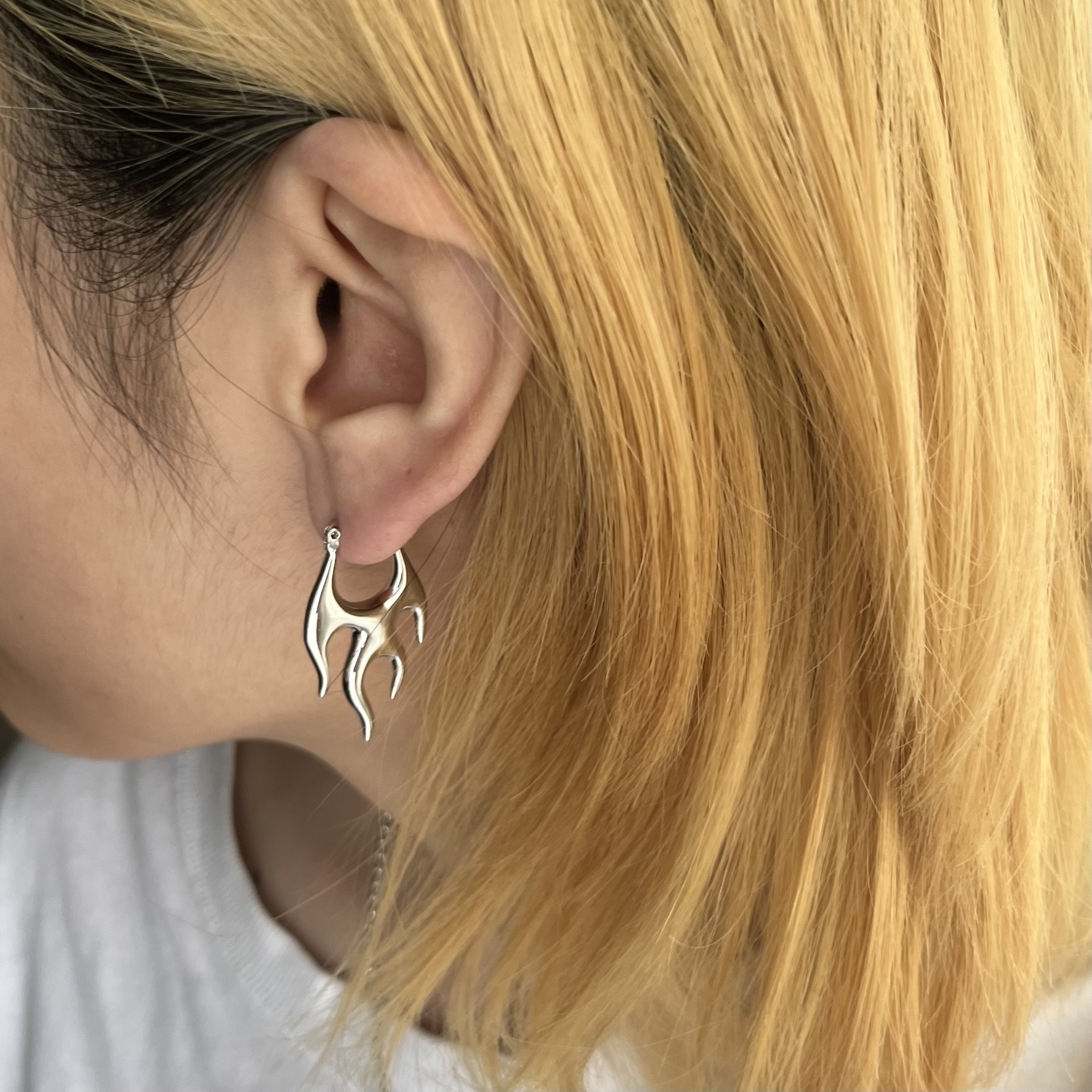 IMG_2356-1732000676740