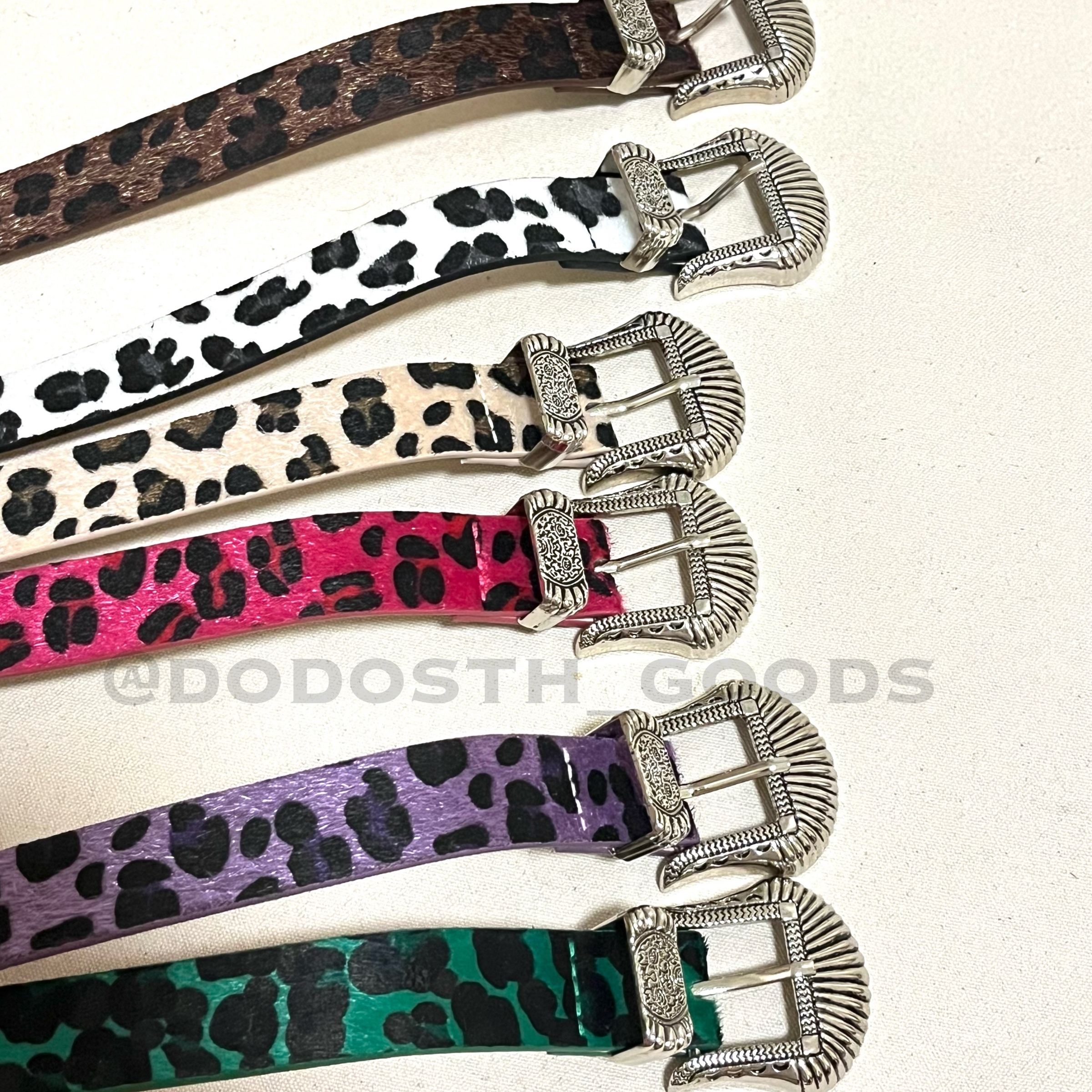 IMG_2950-1733318476501