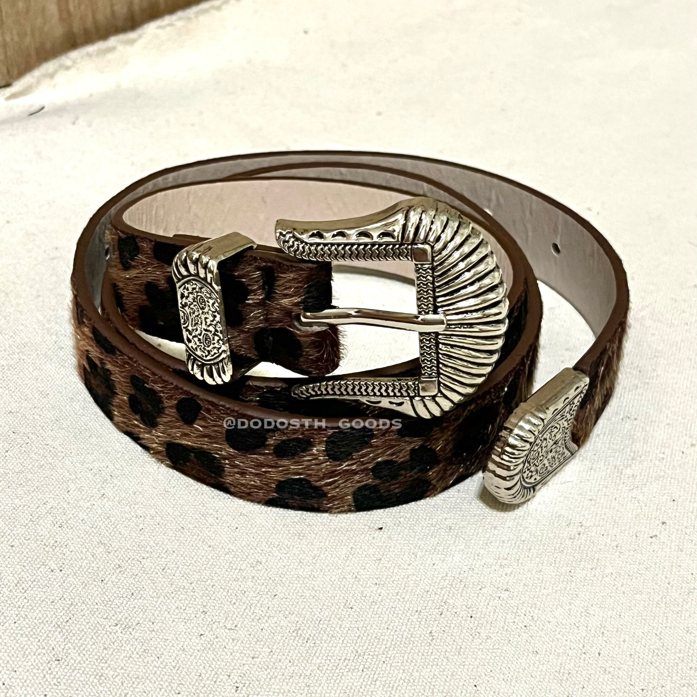 IMG_2945-1733318476481