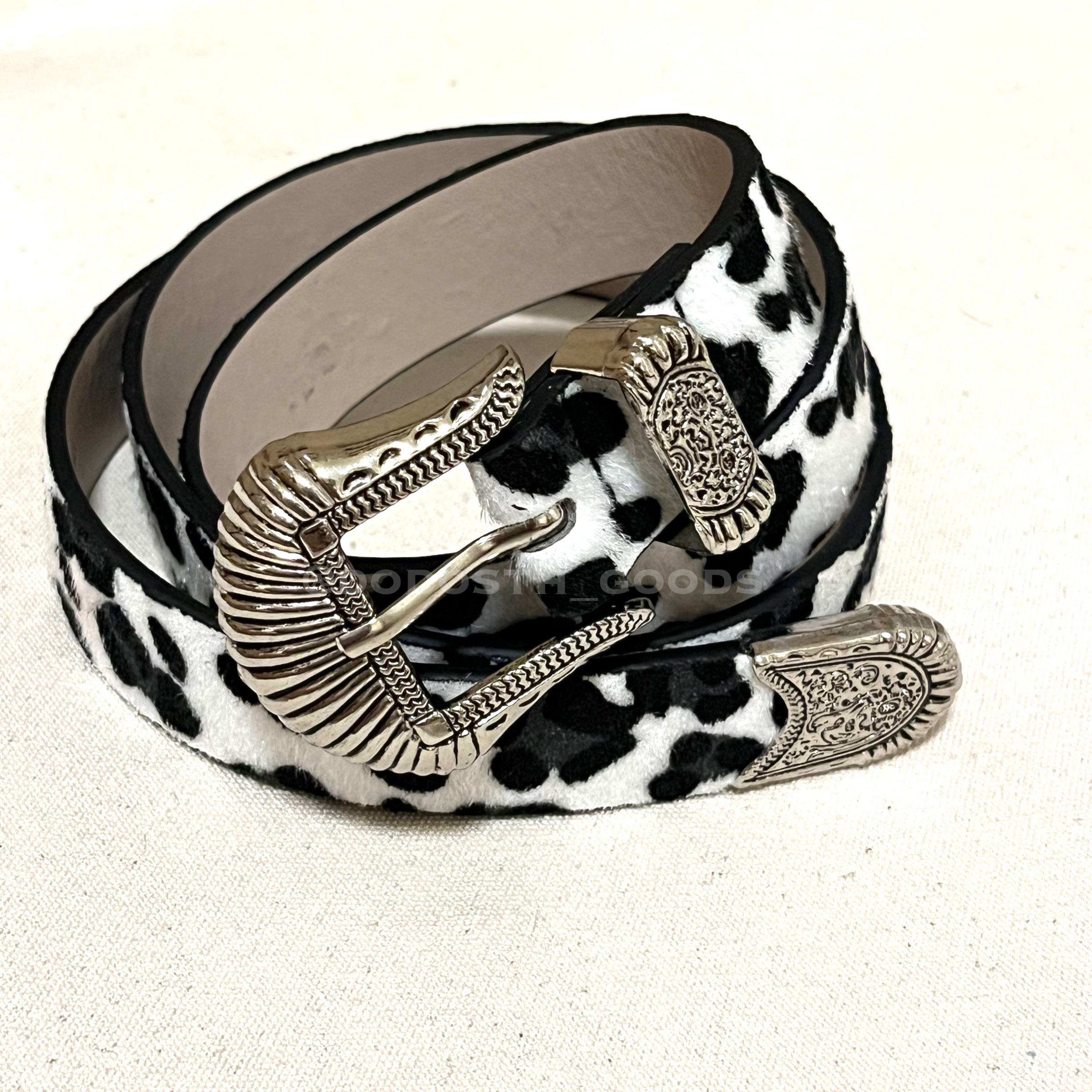 IMG_2946-1733318476510