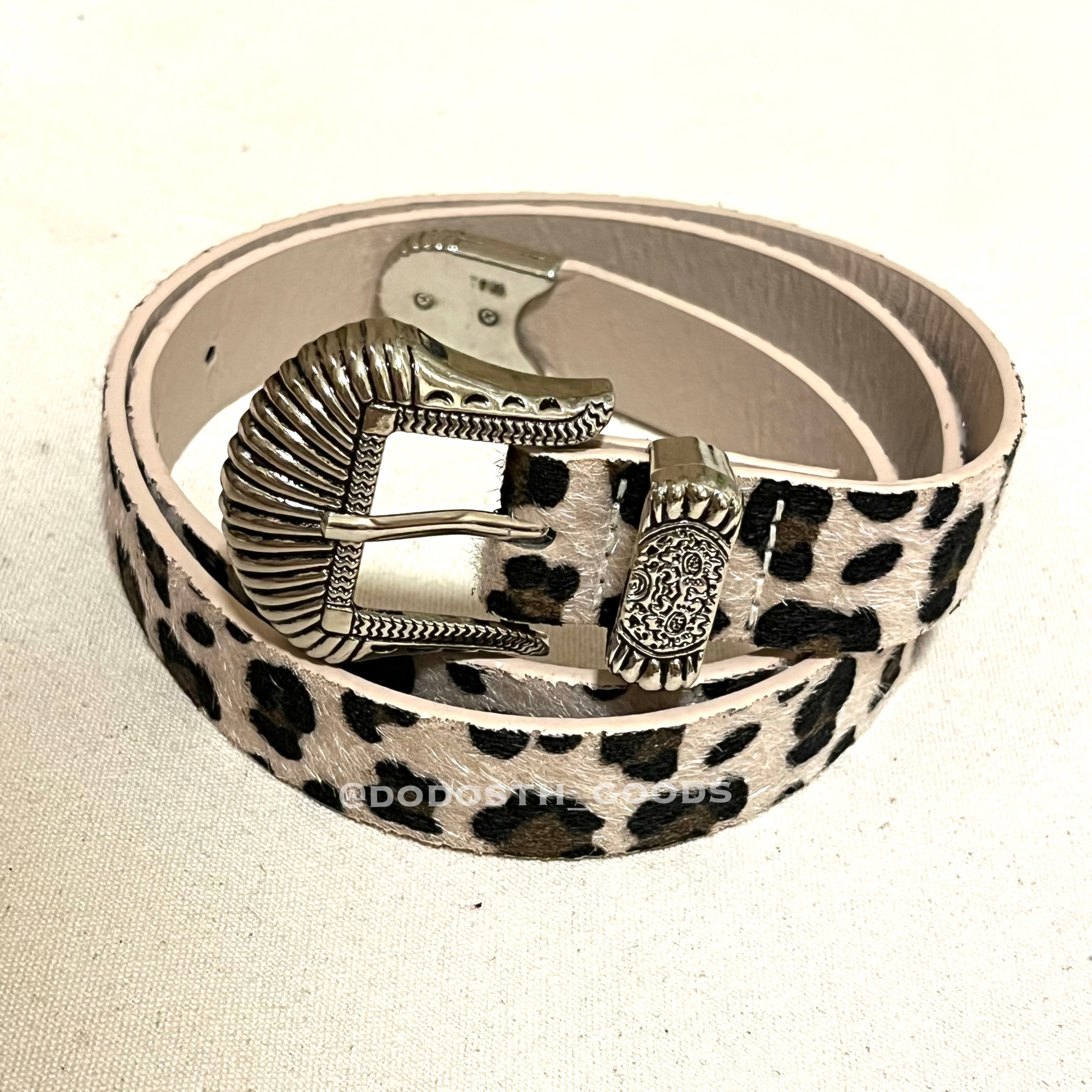 IMG_2944-1733318476520