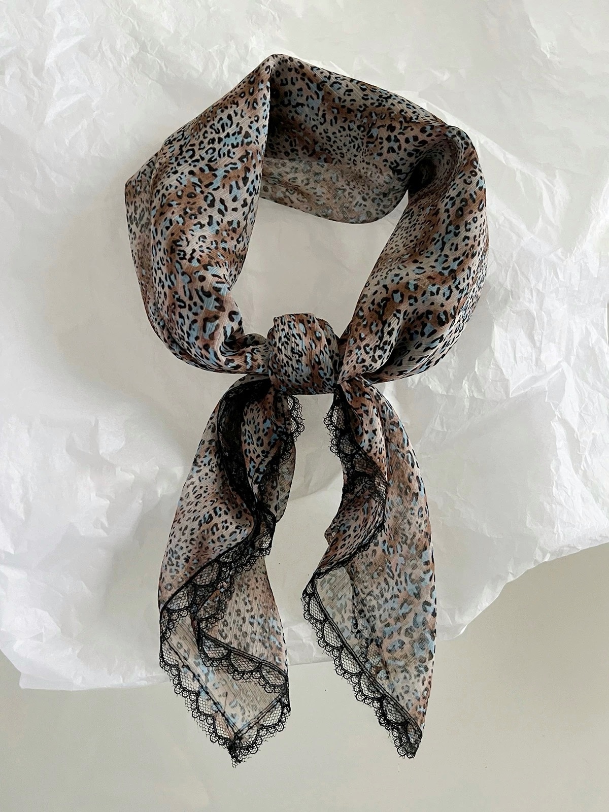 image_CE093930-4664-478E-99CC-189336831137_1746518987