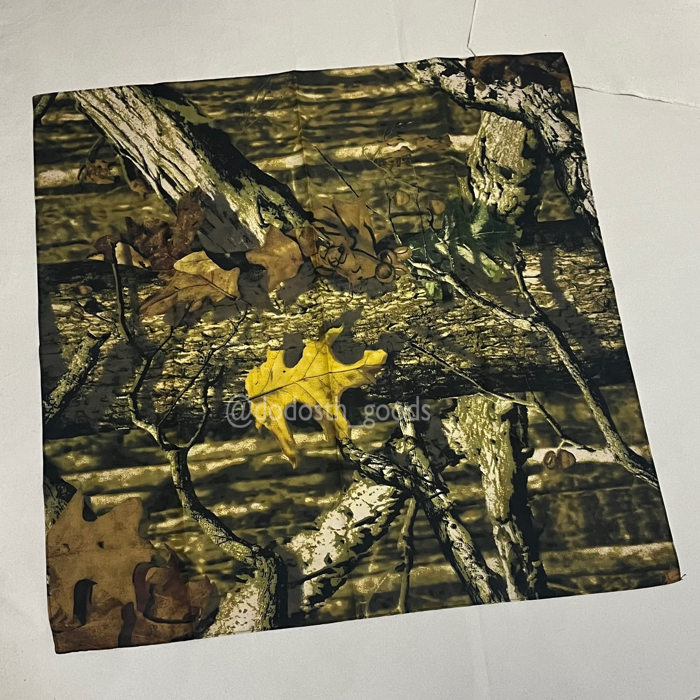 image_133E65E9-CEAA-40DD-B0B1-5CF0497A7EC9_1746981965