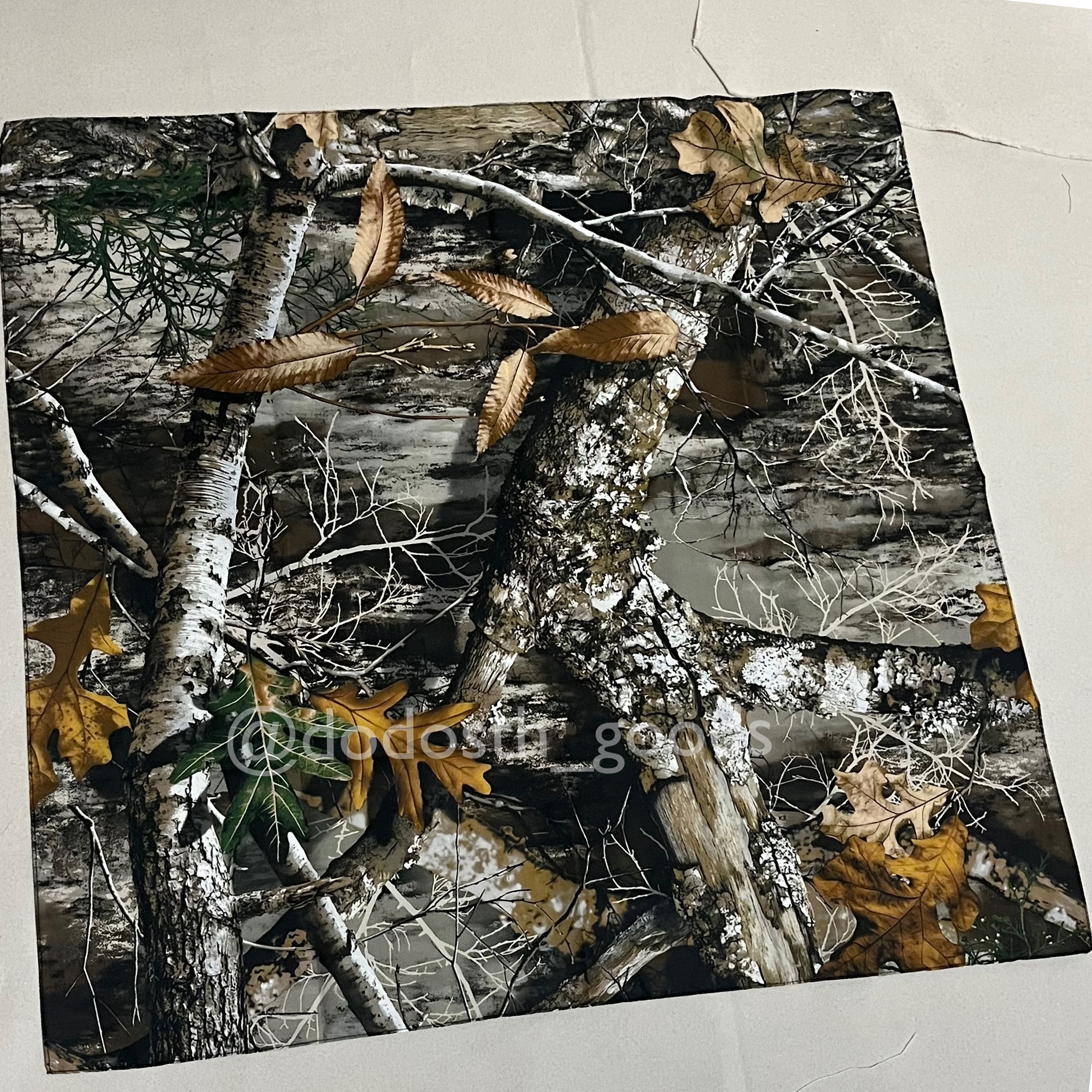 image_7A9E7734-B69B-444F-AA2B-52829FBE7EDA_1746981965