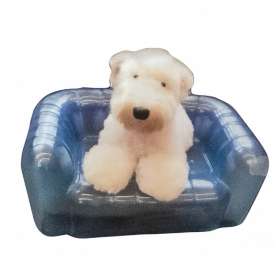 image_23C649AD-BD62-4DC4-89F6-13219B21DDA5_1749623493